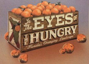 Eyes of the Hungry
